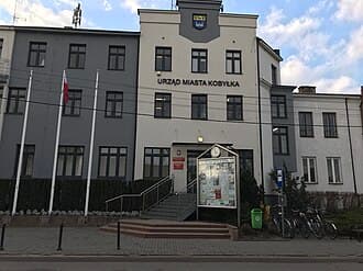 Kobyłka — zdjęcie panoramy